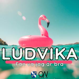 En jävla sommar dänga