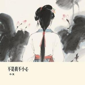 不是我不小心 (Cover 雷婷)