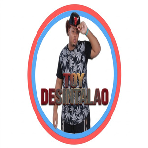 Toy Desintalao