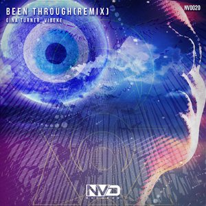 Been Through (Remix) (Radio Edit)