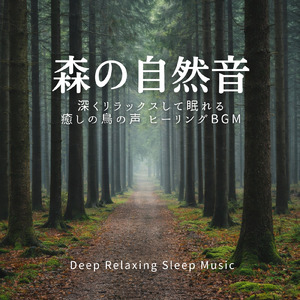 森のゆりかご - 硬まった心と体をほぐす自然ヨガ