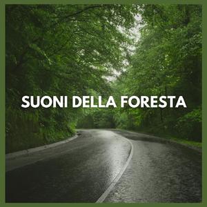 Suoni della Foresta (parte quarantadue)