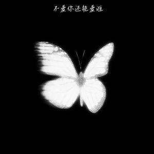 不爱你还能爱谁