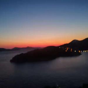 海