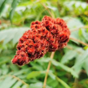 What If I Stay (Live)