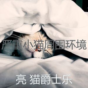 有趣小猫情怀