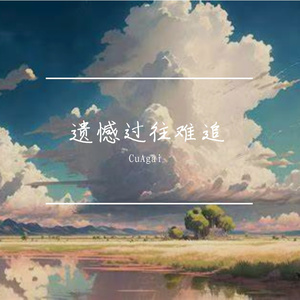 遗憾过往难追
