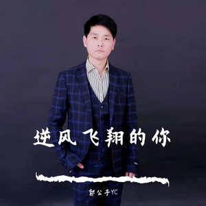 逆风飞翔的你