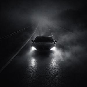 Туманная дорога