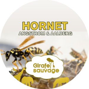 Hornet (Igor Krsmanovic Remix)