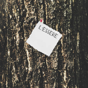 l'essere