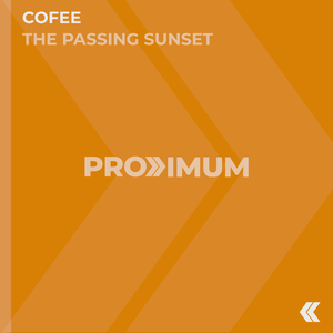 The Passing Sunset (Extended Mix)