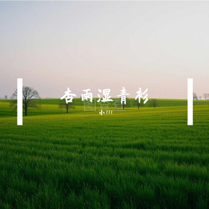 荷风晚凉