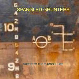 Take it to the Plimsoll Line