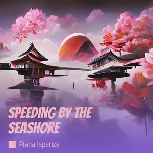 Speeding by the Seashore