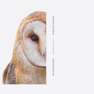 SCG (feat. Machinefabriek)