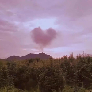 我懵懵懂懂过了一年