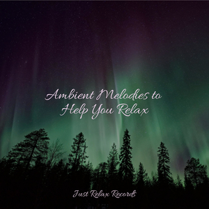 Electric Visions in Motion