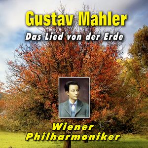 Das Lied Von Der Erde: V. Der Trunkene Im Frühling - Allegro. Keck, Aber Nicht Zu Schnell