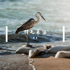 羽毛未沾Prod.Ounce_ X