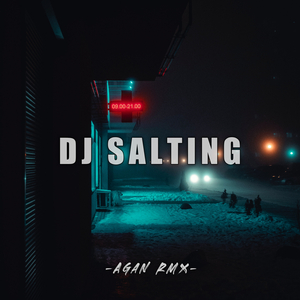 DJ SALTING