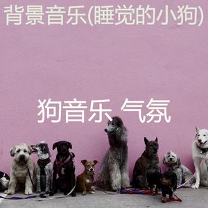 服从-狗