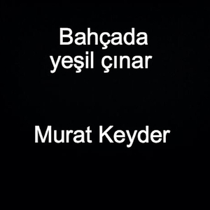 Bahçada Yeşil Çınar
