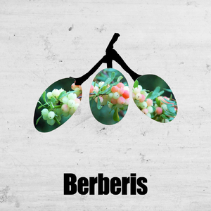 Sit Down (Original Mix)