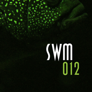 Der Rattenfänger von Berlin