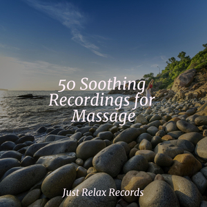 Soul's Melodic Journey