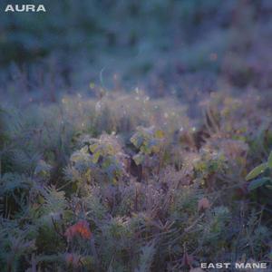 Aura
