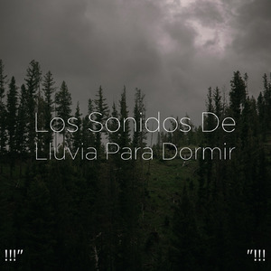 수면 비 소리