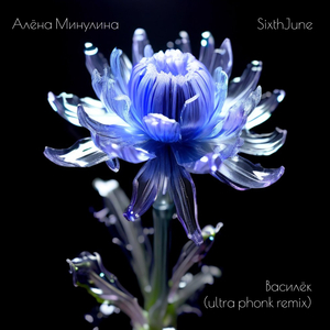 Василёк (ultra phonk remix)