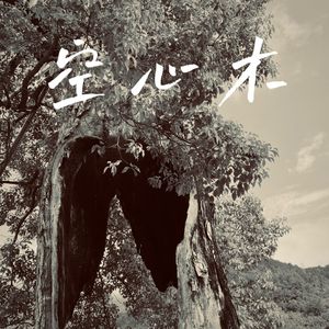 空心木（Demo）
