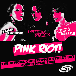 Pink Riot! (The official Christopher Street Day Zürich Hymn 2008) (Extended Mix)