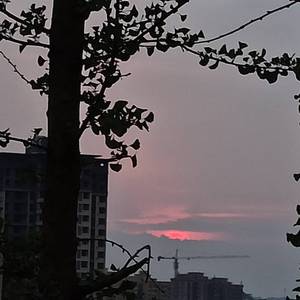 看夕阳