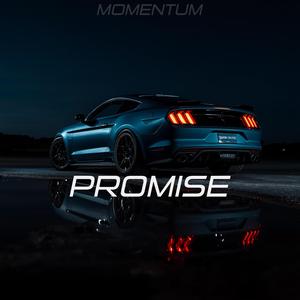 Promise