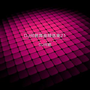 说好再见就不见 (DJ Version)