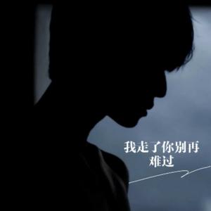 断不了的情忘不了的爱 (DJ男声版)