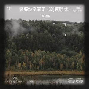 老婆你辛苦了 (Dj何鹏版|Dj.何鹏版)