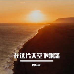 在这片天空下飘荡