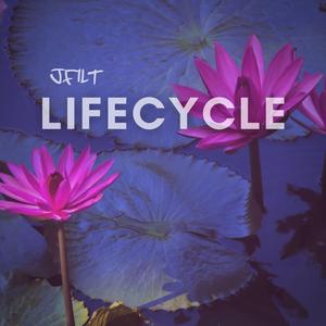 LifeCycle