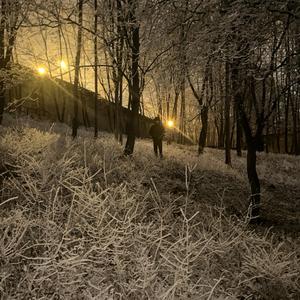 no tak díky (feat. Nikolkaxox)