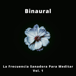 Alimento Para El Cerebro