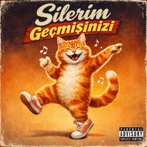 Silerim Geçmişinizi