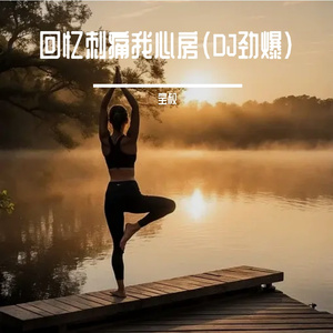 回忆刺痛我心房（DJ）