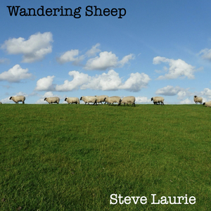 Wandering Sheep