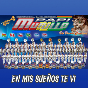 En Mis Sueños Te Vi