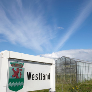 Westland (Extended Version)