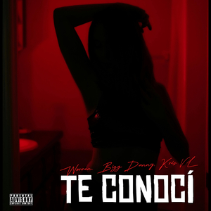 Te Conoci